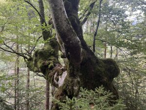 Samsung инвестира 15,2 милиона долара за разширяване на полупроводниковите опаковки в завода в Суджоу · TechNode