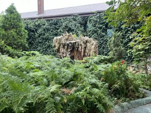 Властите в Lijiang призовават Xiaohongshu да затегне контрола върху прегледа