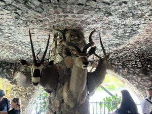 Ще стане ли безплатен ръчният багаж в самолета: Какво включва законопроектът на ЕП за правата на пътниците?