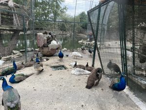 Най -големият проект за естествен уран в Китай произвежда първа цев