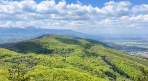 Временна недостъпност на Единната информационна система (ЕИС)