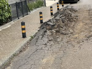 Публиката призова да избегне смачкването на Rove Beetles