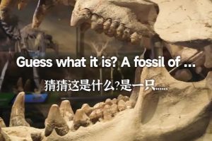 Членове на синдиката, осъдени за убийства и телекомуникационни измами