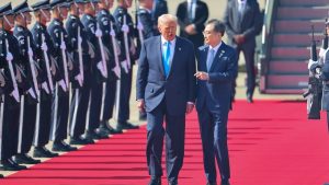 Изпълнителна агенция по горите | Новини