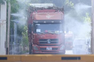 Започва сезонът на внос на захарна тръстика от Китай и Лаос