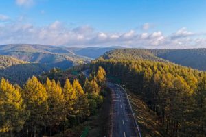 Десетилетия труд в Saihanba носят значими зелени дивиденти