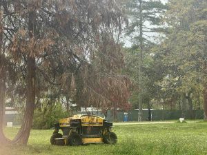 Косенето на тревните площи продължава и през тази седмица