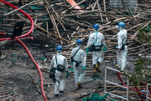 Изпълнителна агенция по горите | Новини