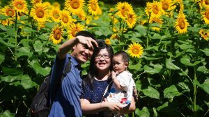 Ningxia покрива почти изцяло разходите за раждане