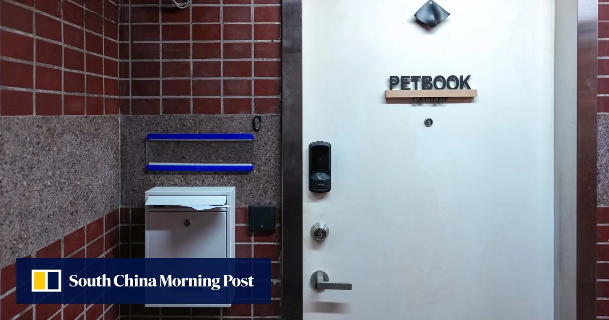 Критики в Хонконг за котки под наем в магазин