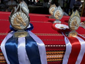 Традиционните конни надбягвания в Сандрово отново събраха най-добрите състезатели от България и Румъния