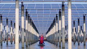 Китай е готов да спечели огромни печалби от глобалния енергиен преход: анализатори