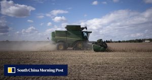 Как SBTI превърна MBTI в най-новия вирусен мем в Китай · TechNode